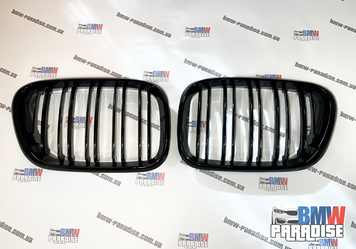 Подвійна решітка радіатора "гриль" для BMW E53 (1998-2003) Чорний глянець 322-9 фото